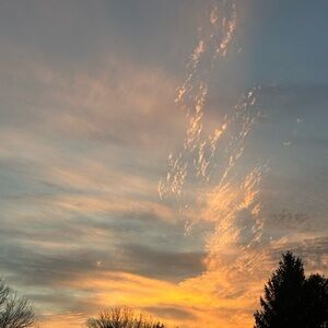 Meet your Posher, Tanner